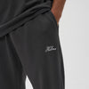 Helme Embroidery Signature Open Hem Jogger Charcoal